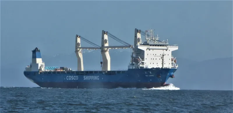 DA LIANG General Cargo IMO 9608415 photo 7
