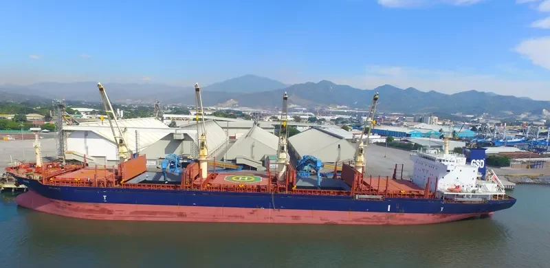 OLIVIA Bulk Carrier IMO 9608702