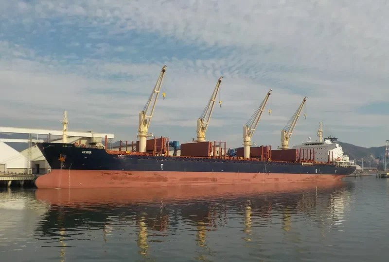 OLIVIA Bulk Carrier IMO 9608702 photo 2