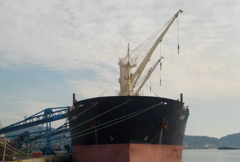 OLIVIA Bulk Carrier IMO 9608702 photo 3