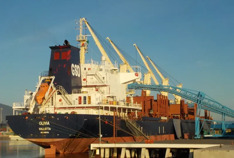 OLIVIA Bulk Carrier IMO 9608702 photo 5