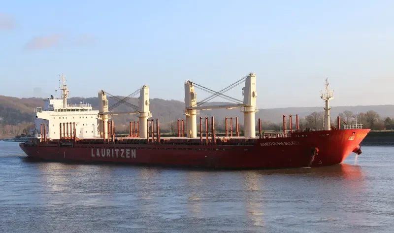 OLIVIA Bulk Carrier IMO 9608702 photo 7