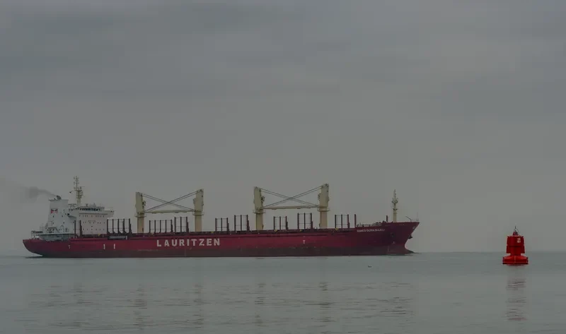 OLIVIA Bulk Carrier IMO 9608702 photo 10