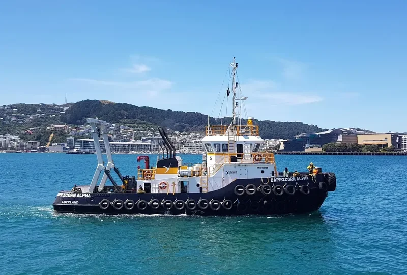 CAPRICORN ALPHA General Cargo IMO 9608879