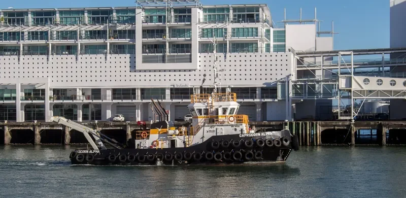 CAPRICORN ALPHA General Cargo IMO 9608879 photo 3