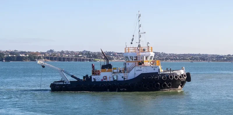 CAPRICORN ALPHA General Cargo IMO 9608879 photo 4