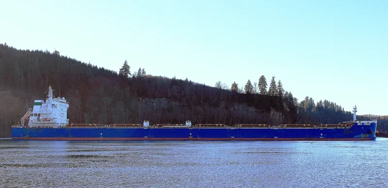 SEA VENUS Bulk Carrier IMO 9609134 photo 4
