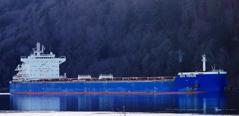 SEA VENUS Bulk Carrier IMO 9609134 photo 5