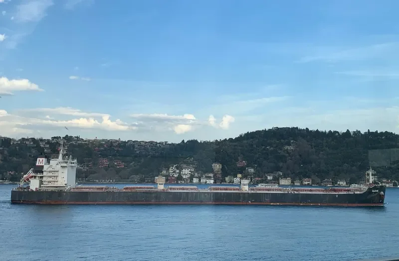 ALEXIS Bulk Carrier IMO 9609158 photo 9