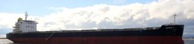 GEORGE P Bulk Carrier IMO 9609160 photo 2
