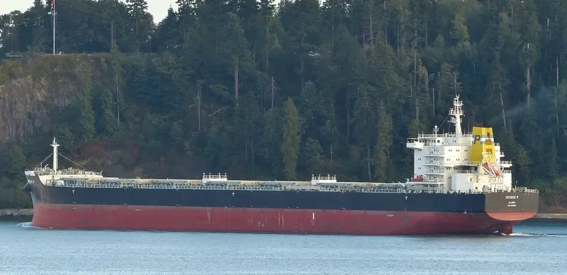 GEORGE P Bulk Carrier IMO 9609160 photo 9