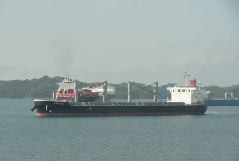ND THELXIS Bulk Carrier IMO 9609225 photo 5