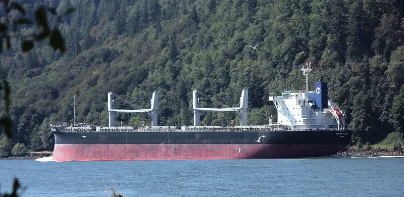 SAKURA GLORY Bulk Carrier IMO 9609237 photo 3