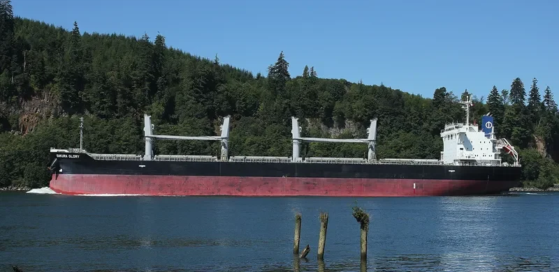 SAKURA GLORY Bulk Carrier IMO 9609237 photo 4