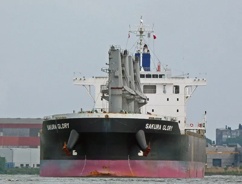 SAKURA GLORY Bulk Carrier IMO 9609237 photo 8