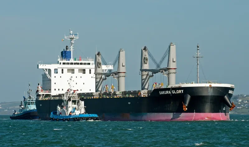 SAKURA GLORY Bulk Carrier IMO 9609237 photo 9