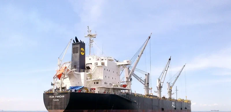 IKAN PANDAN Bulk Carrier IMO 9609249