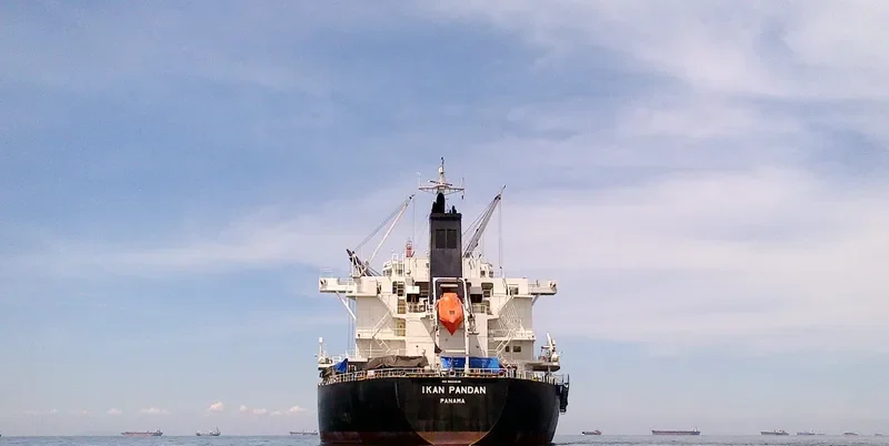 IKAN PANDAN Bulk Carrier IMO 9609249 photo 2