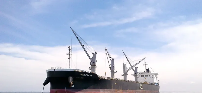 IKAN PANDAN Bulk Carrier IMO 9609249 photo 3