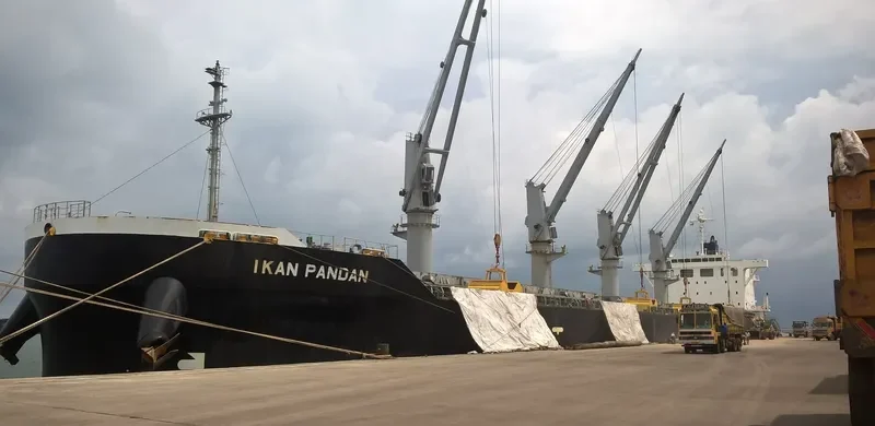 IKAN PANDAN Bulk Carrier IMO 9609249 photo 4