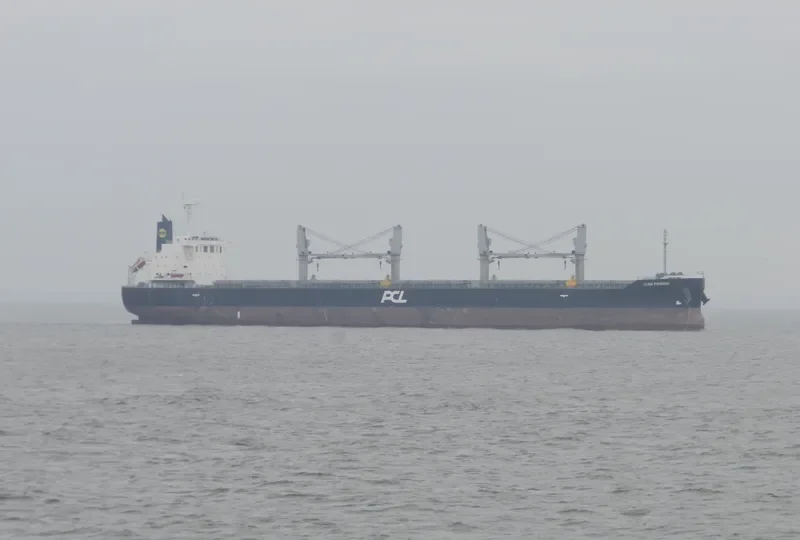 IKAN PANDAN Bulk Carrier IMO 9609249 photo 5