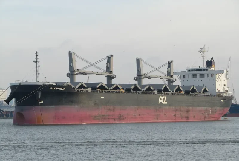 IKAN PANDAN Bulk Carrier IMO 9609249 photo 6