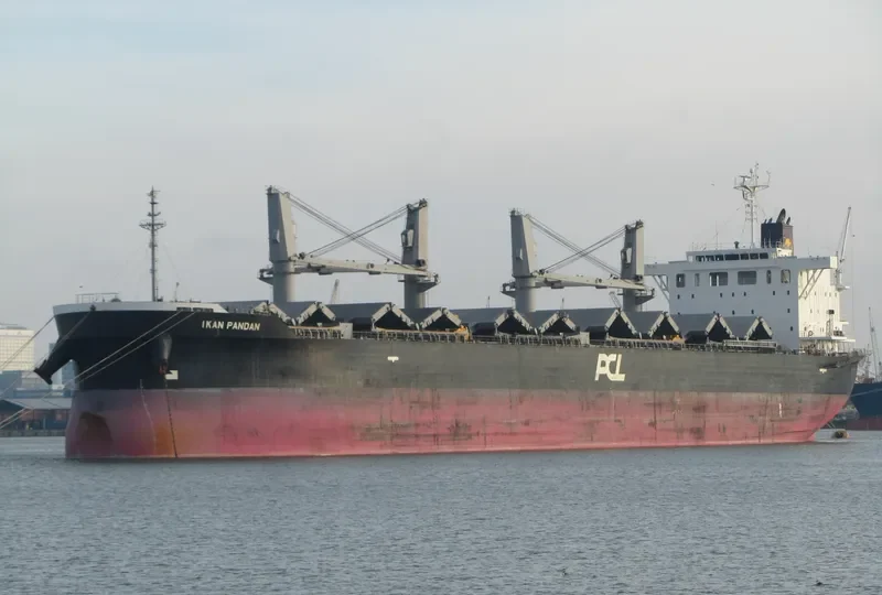 IKAN PANDAN Bulk Carrier IMO 9609249 photo 7