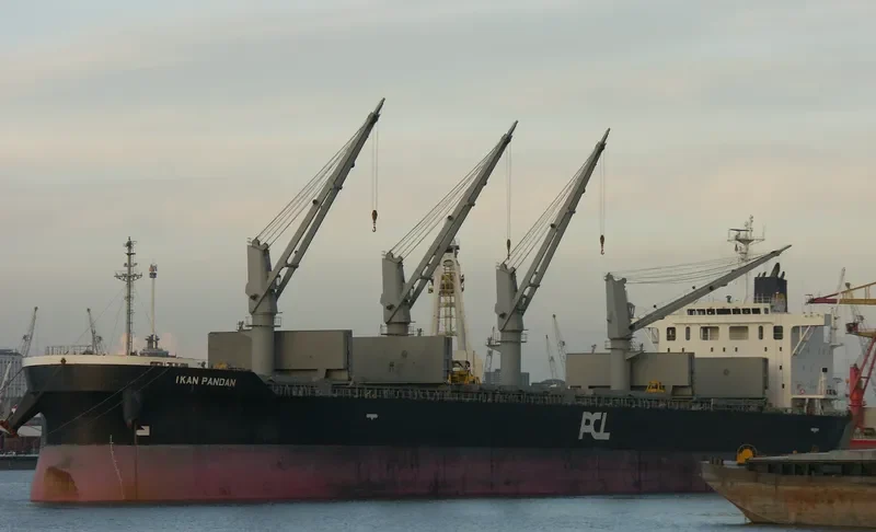 IKAN PANDAN Bulk Carrier IMO 9609249 photo 8