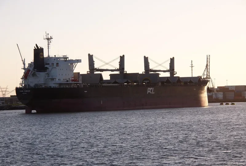 IKAN PANDAN Bulk Carrier IMO 9609249 photo 9