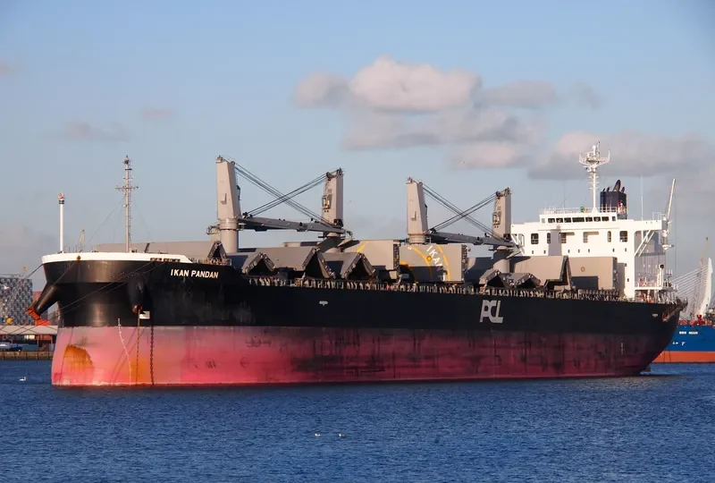 IKAN PANDAN Bulk Carrier IMO 9609249 photo 10