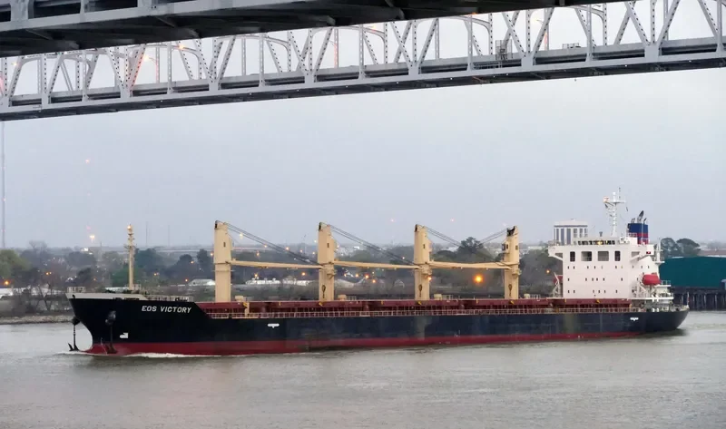 TRAWIND ROC Bulk Carrier IMO 9609299 photo 2