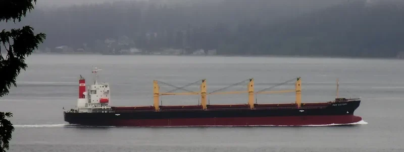 TRAWIND ROC Bulk Carrier IMO 9609299 photo 7