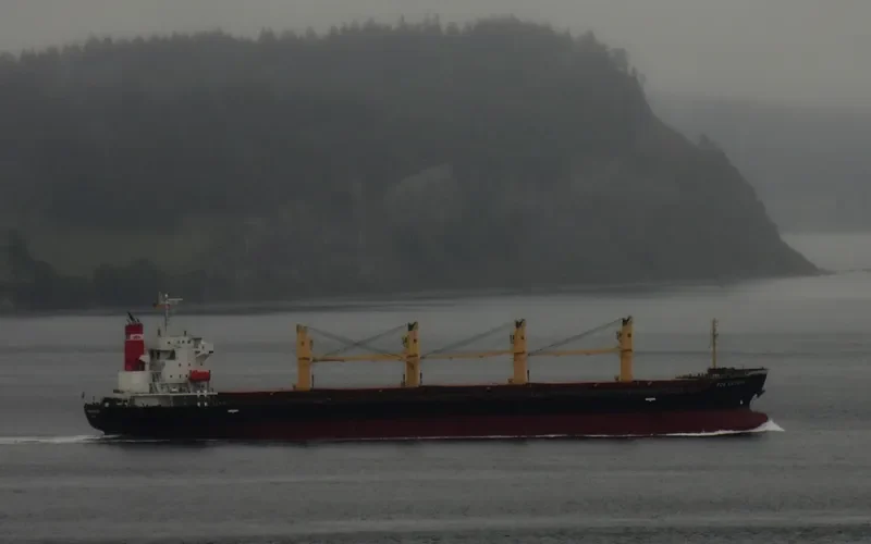 TRAWIND ROC Bulk Carrier IMO 9609299 photo 8