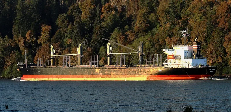 GLOBAL STRIKER Bulk Carrier IMO 9609330