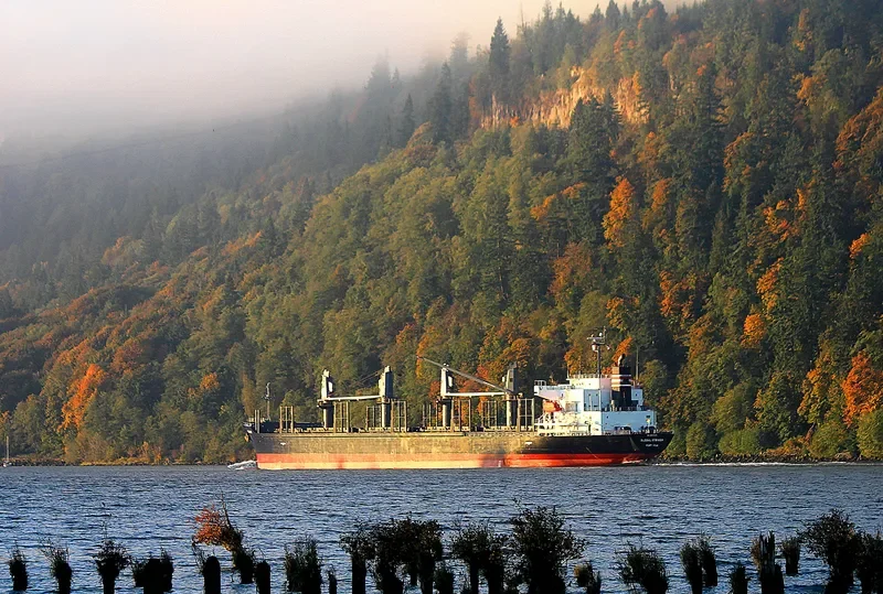 GLOBAL STRIKER Bulk Carrier IMO 9609330 photo 2