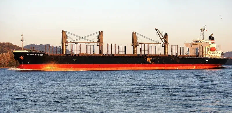GLOBAL STRIKER Bulk Carrier IMO 9609330 photo 4