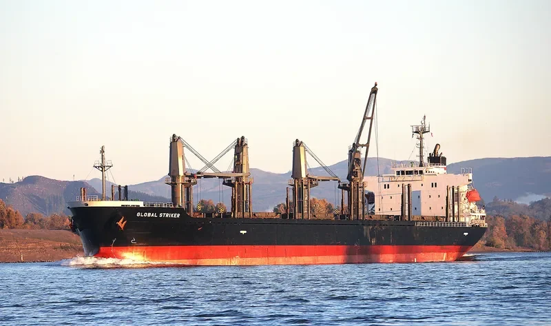 GLOBAL STRIKER Bulk Carrier IMO 9609330 photo 5