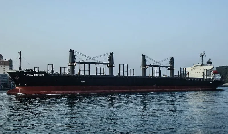 GLOBAL STRIKER Bulk Carrier IMO 9609330 photo 9