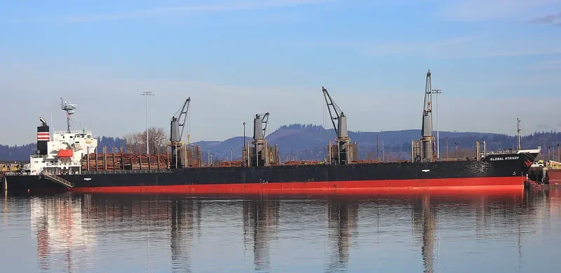 GLOBAL STRIKER Bulk Carrier IMO 9609330 photo 10