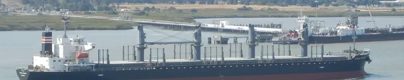 GLOBAL SYMPHONY Bulk Carrier IMO 9609342 photo 2