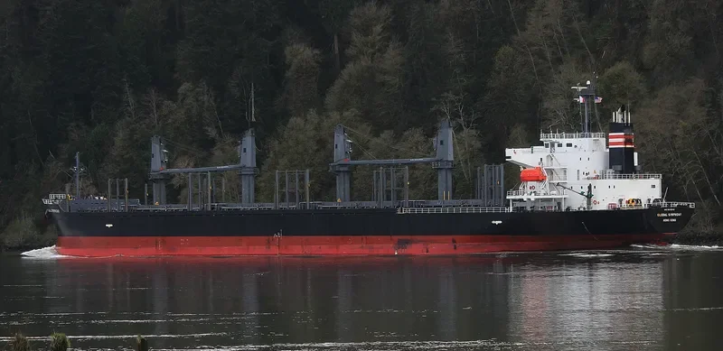 GLOBAL SYMPHONY Bulk Carrier IMO 9609342 photo 4