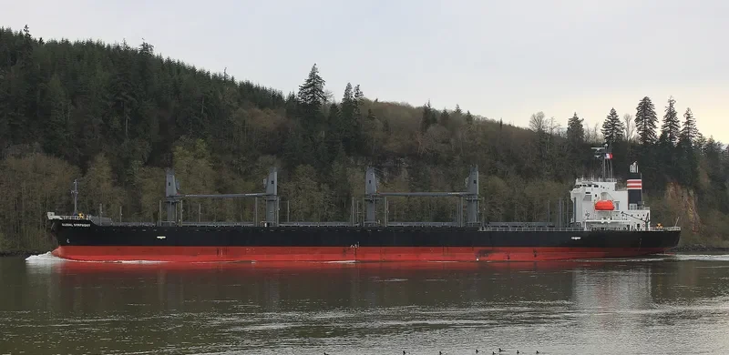 GLOBAL SYMPHONY Bulk Carrier IMO 9609342 photo 5