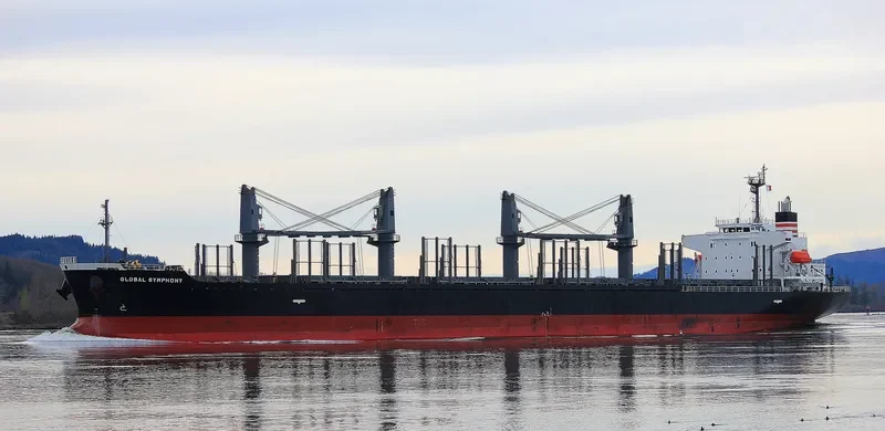 GLOBAL SYMPHONY Bulk Carrier IMO 9609342 photo 6