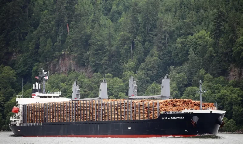 GLOBAL SYMPHONY Bulk Carrier IMO 9609342 photo 7