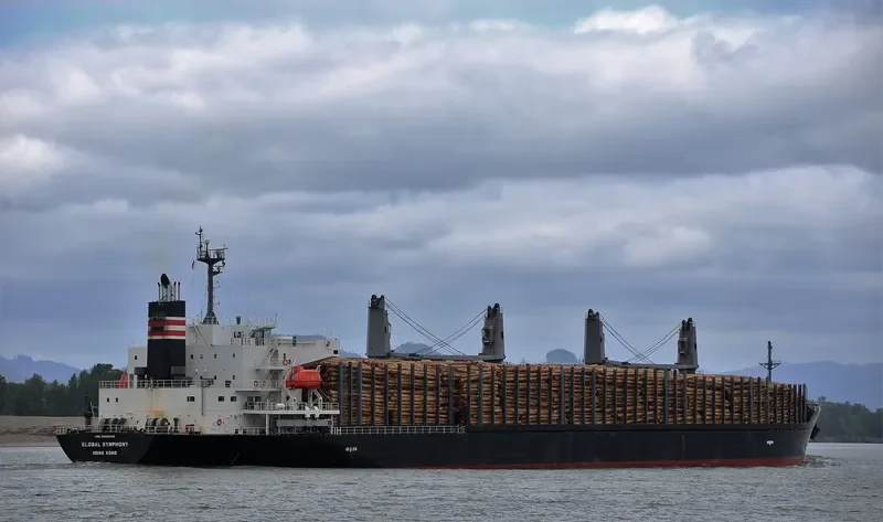 GLOBAL SYMPHONY Bulk Carrier IMO 9609342 photo 8