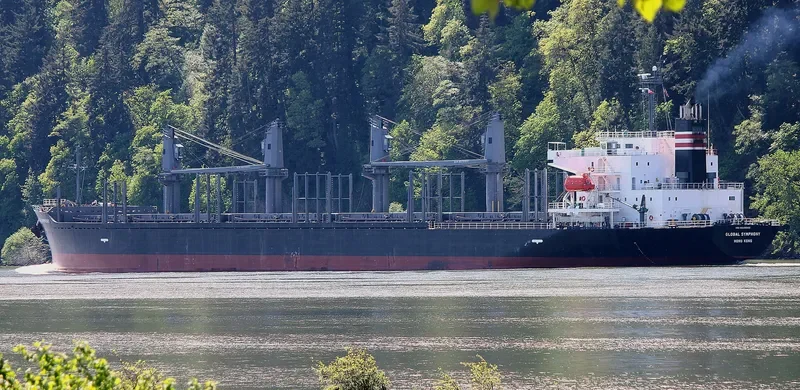 GLOBAL SYMPHONY Bulk Carrier IMO 9609342 photo 9