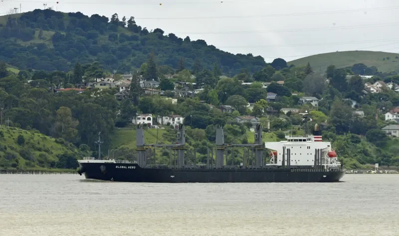 GLOBAL HERO Bulk Carrier IMO 9609354 photo 6