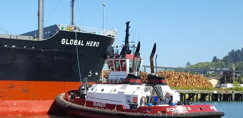 GLOBAL HERO Bulk Carrier IMO 9609354 photo 7