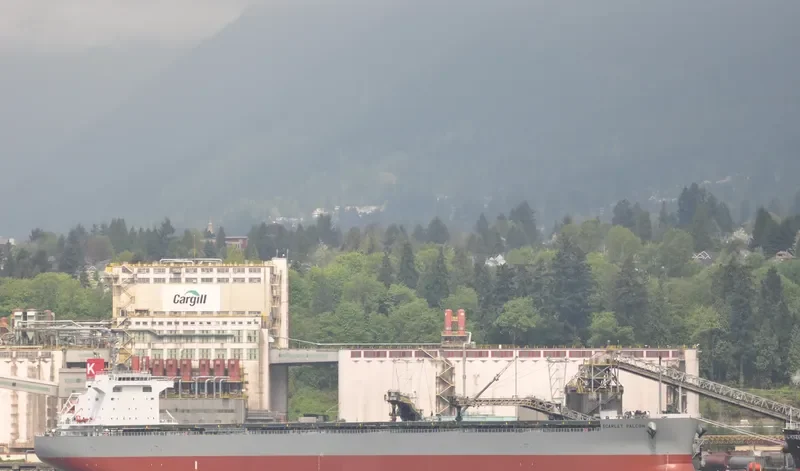 SCARLET FALCON Bulk Carrier IMO 9609433 photo 3