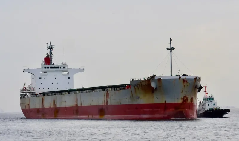 SCARLET FALCON Bulk Carrier IMO 9609433 photo 7